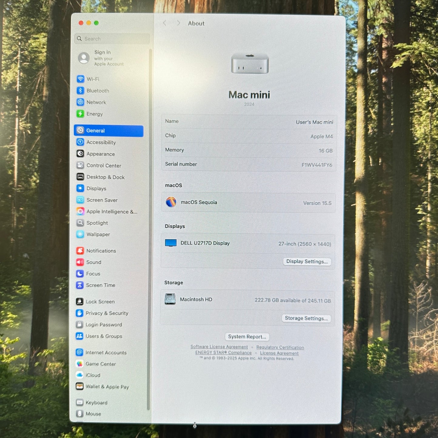 2024 Apple Mac Mini M4 4.4GHz 16GB RAM 256GB SSD Silver MU9D3LL/A