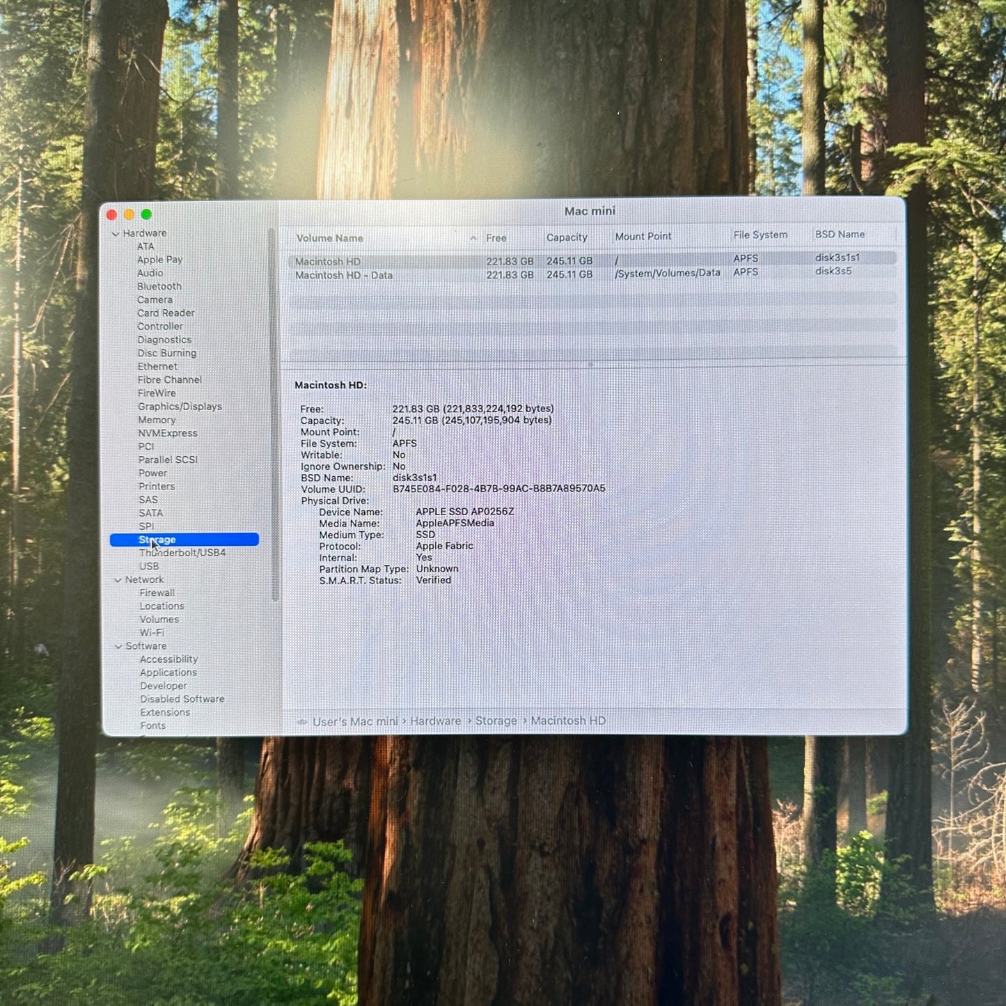 2024 Apple Mac Mini M4 4.4GHz 16GB RAM 256GB SSD Silver MU9D3LL/A
