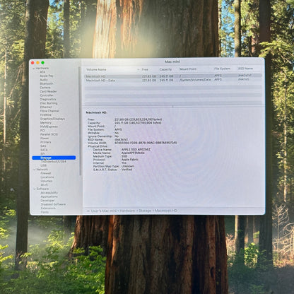 2024 Apple Mac Mini M4 4.4GHz 16GB RAM 256GB SSD Silver MU9D3LL/A