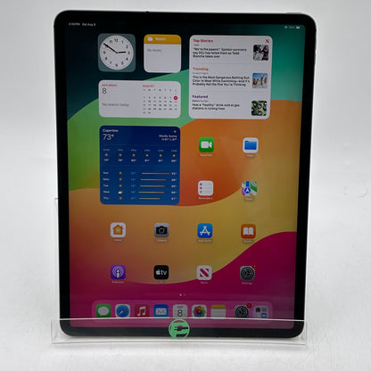 Factory Unlocked Apple iPad Pro 12.9" 4th Gen 1TB Space Gray NXG22LL/A Read