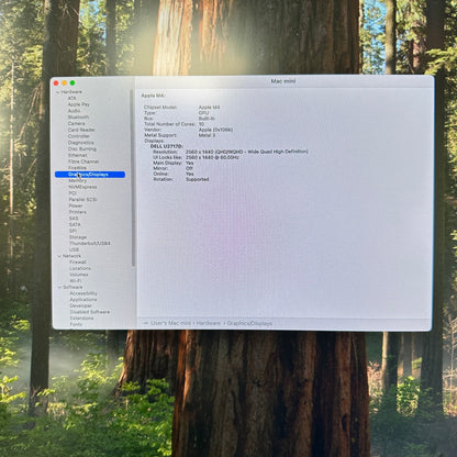 2024 Apple Mac Mini M4 4.4GHz 16GB RAM 256GB SSD Silver MU9D3LL/A