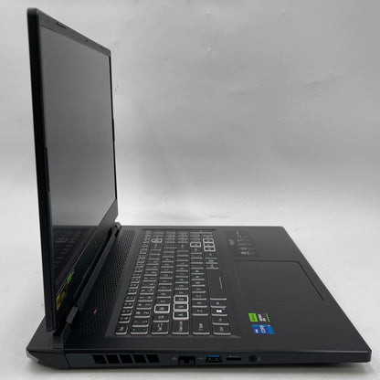 Acer Nitro 17 17.3" i7-13700H 2.4GHz 16GB RAM 1TB SSD GeForce RTX 4060