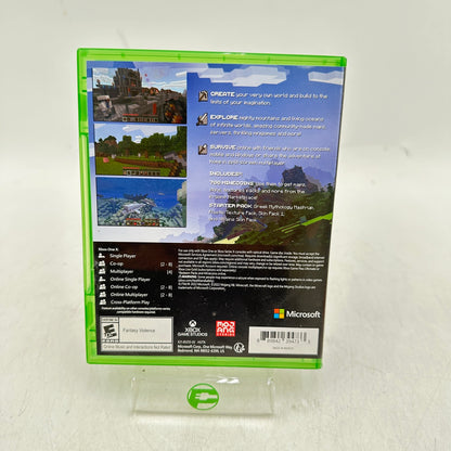 Minecraft (Microsoft Xbox One, 2018)
